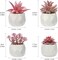Artificial Succulent Plants in Pots Fake Potted Plant Mini Plants for Bedroom Home Bathroom Office Room Decor